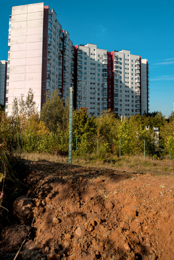 Срытый экскаваторами растительный покров на территории ООПТ. Напыленный на этот неплодородный песок и глину "жидкий газон" врядли даст плодородные всходы