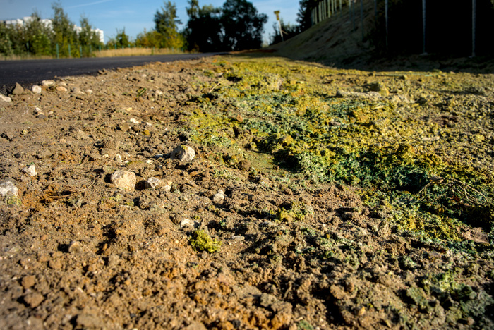 "Жидкий газон" представляет собой точайший слой краски и целлюлозы, напыленной на песок