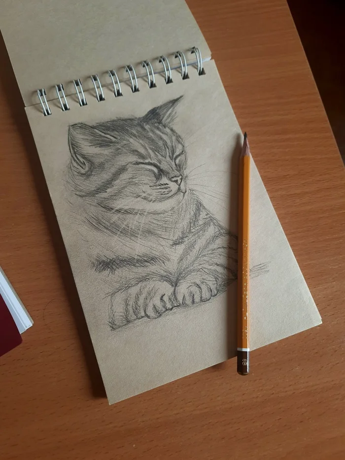 Pencil drawing - My, Painting, Pencil drawing, cat