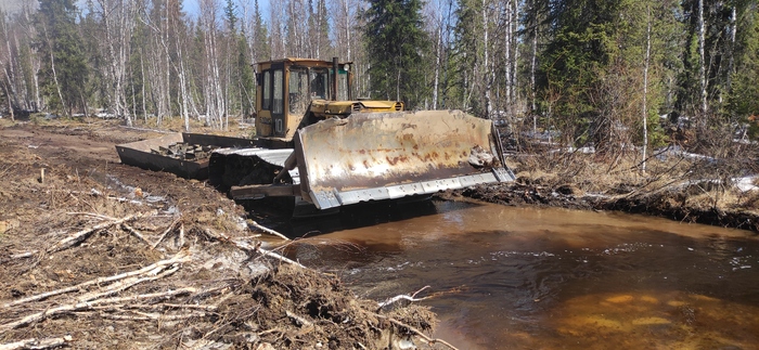 А вот и бульдозер везёт керн на промывку.