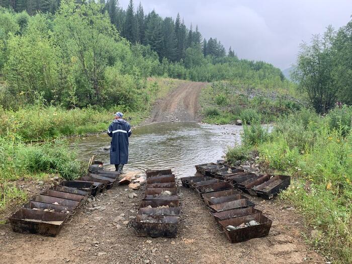 А этот как раз керны который необходимо отмыть и найти в нём тот самый металл от которого у некоторых людей бывает лихорадка (золотая лихорадка)