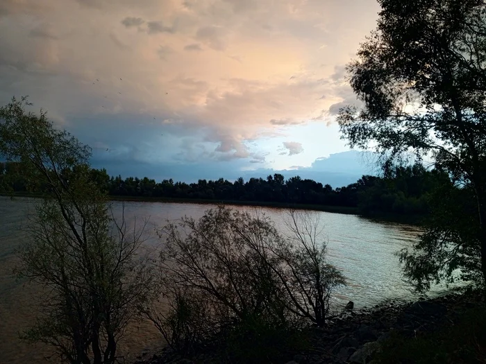 The beauty of the reservoir - My, Reservoir, Altai region, Fishing, Mobile photography, Nature, Longpost