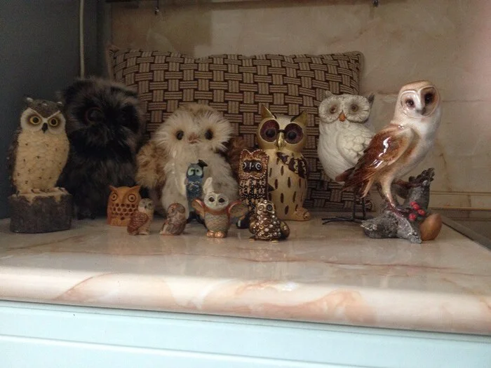 Collection of owls - The photo, Owl, Toys, Statuette, Soft toy