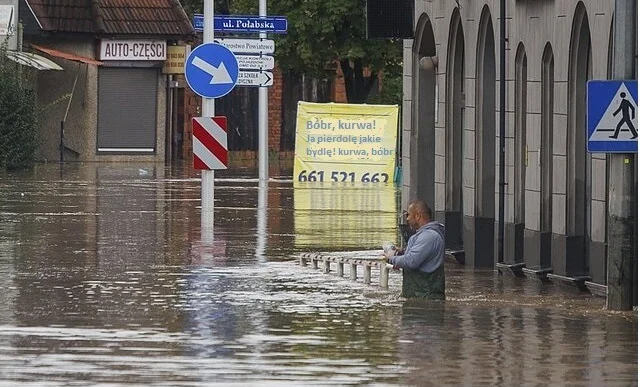 It was a mistake to offend the beaver - Poland, Flood, Beavers, Curva, GIF