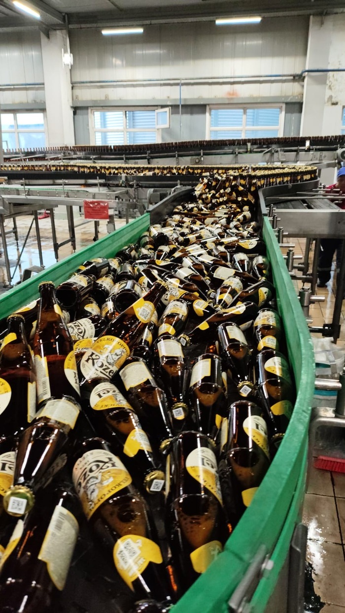 Сюрприз в начале смены:) завал на входе в термоупаковочную машину.