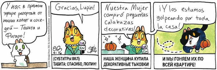 Котейкины Новости от 16.09.2024