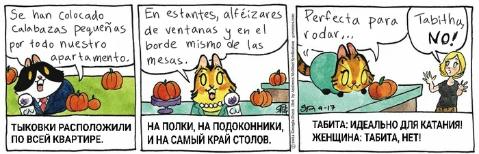 Koteikiny News from 09/17/2024 - My, Translation, Koteikin news (comic), Comics, cat