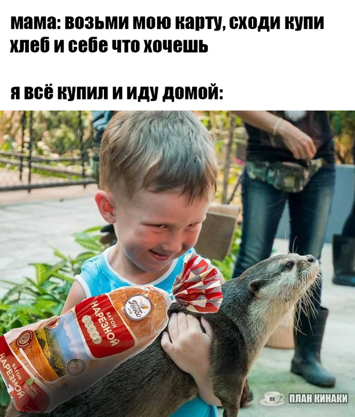 A mother's word is law - My, Animals, Otter, Oriental Beskeet Otter, Memes, Picture with text, Mum, Exercise, Childhood