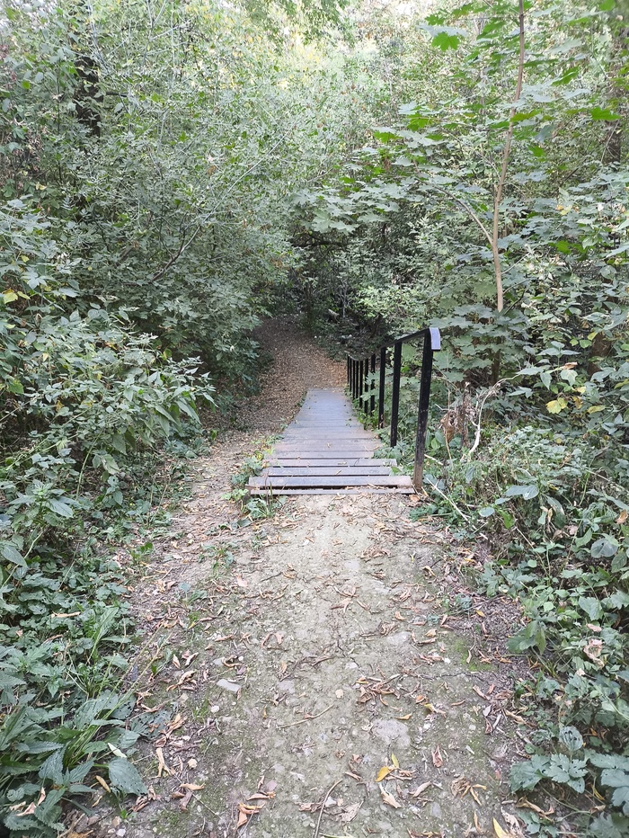     , , ,   , 