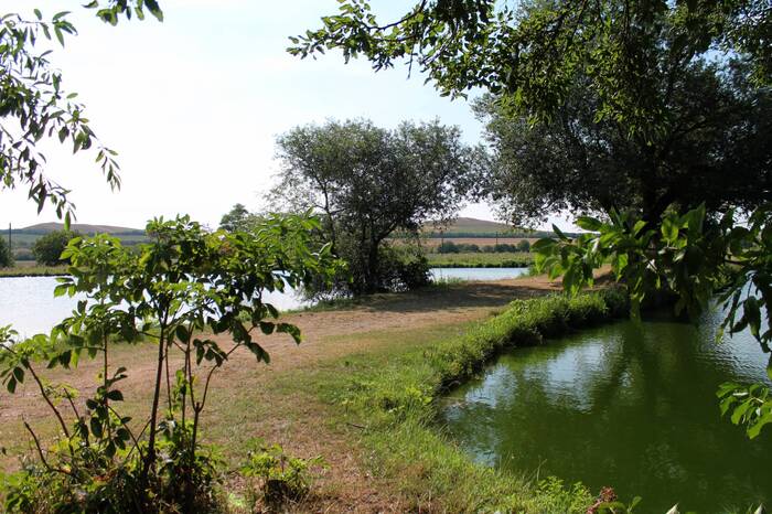 Watershed - My, The photo, Landscape, Nature, Pond, Fishing, River, Stavropol region