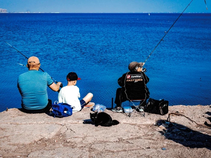 Waiting for the fish - My, The photo, Canon, Street photography, City walk, cat, Black cat, Fishing, Fishermen, Sea, Black Sea, Crimea, Evpatoria