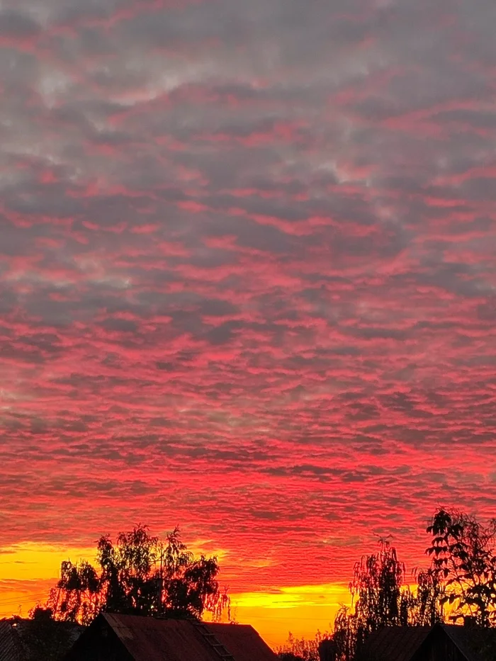 Amazingly beautiful sunset - My, Sunset, Evening, Sky, Clouds, Longpost