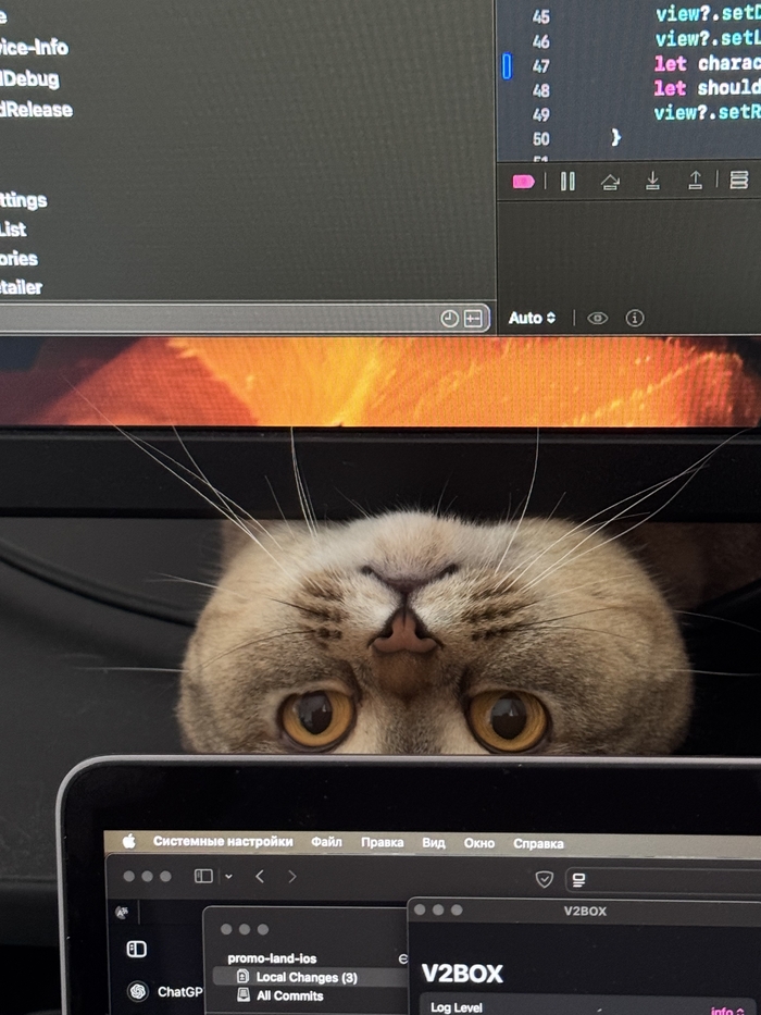 ���������