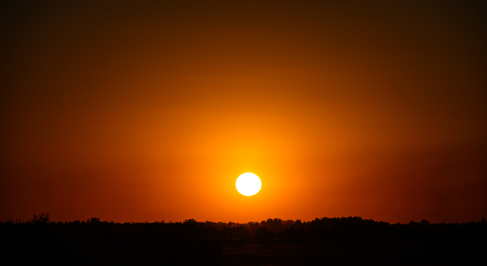Снято в конце августа в окрестностях Романовской, Ростовская область.