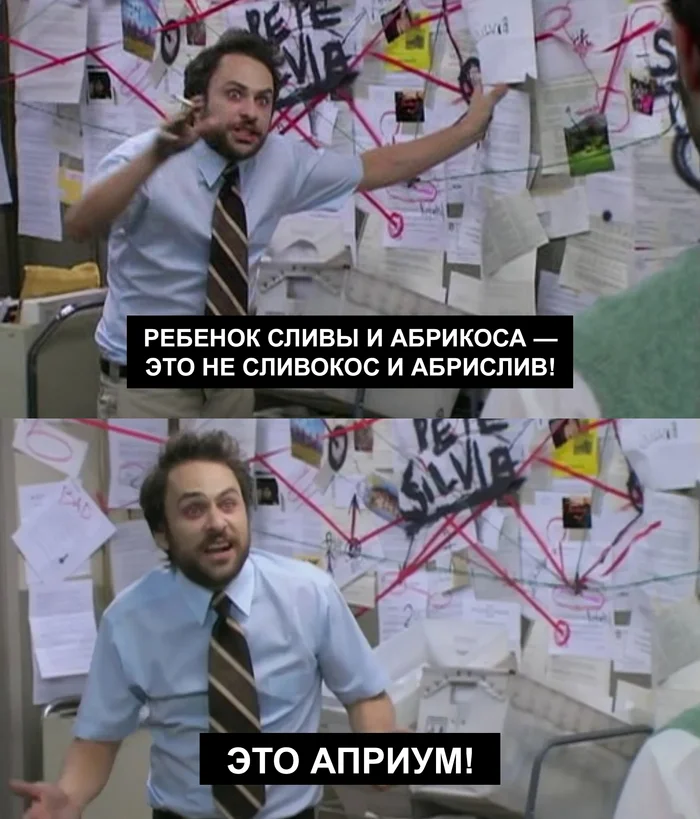 Моя жизнь никогда не станет прежней - Юмор, Мемы, Фрукты, Овощи, Неожиданно