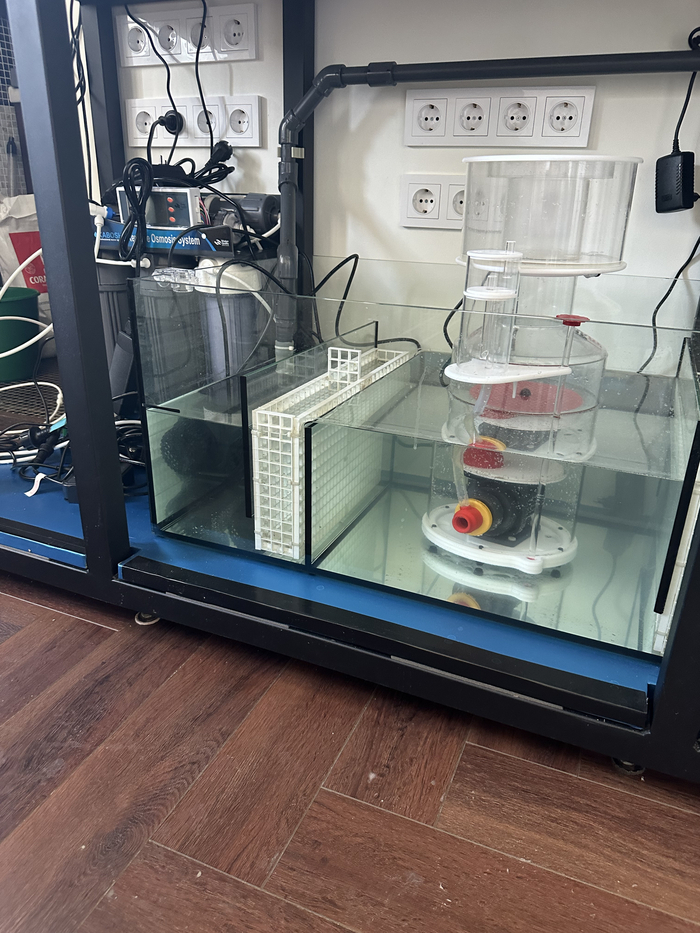 How I decided to install a marine aquarium in my office, without understanding anything about aquarium keeping Part 2 - My, Aquarium, Sea, A fish, Aquarium, Marine life, Ocean, Video, Vertical video, Longpost