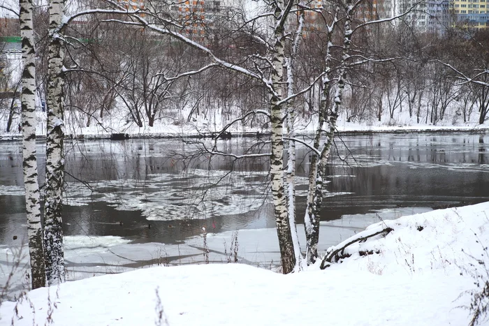 Берёзки у речки - Моё, Фотография, Москва-Река, Фили, Ледоход, Зима