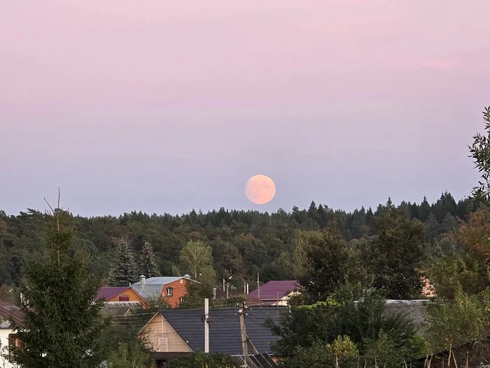 Moonrise and sunset - My, Mobile photography, moon, Sunset, Nature, cat, River, Road, Longpost