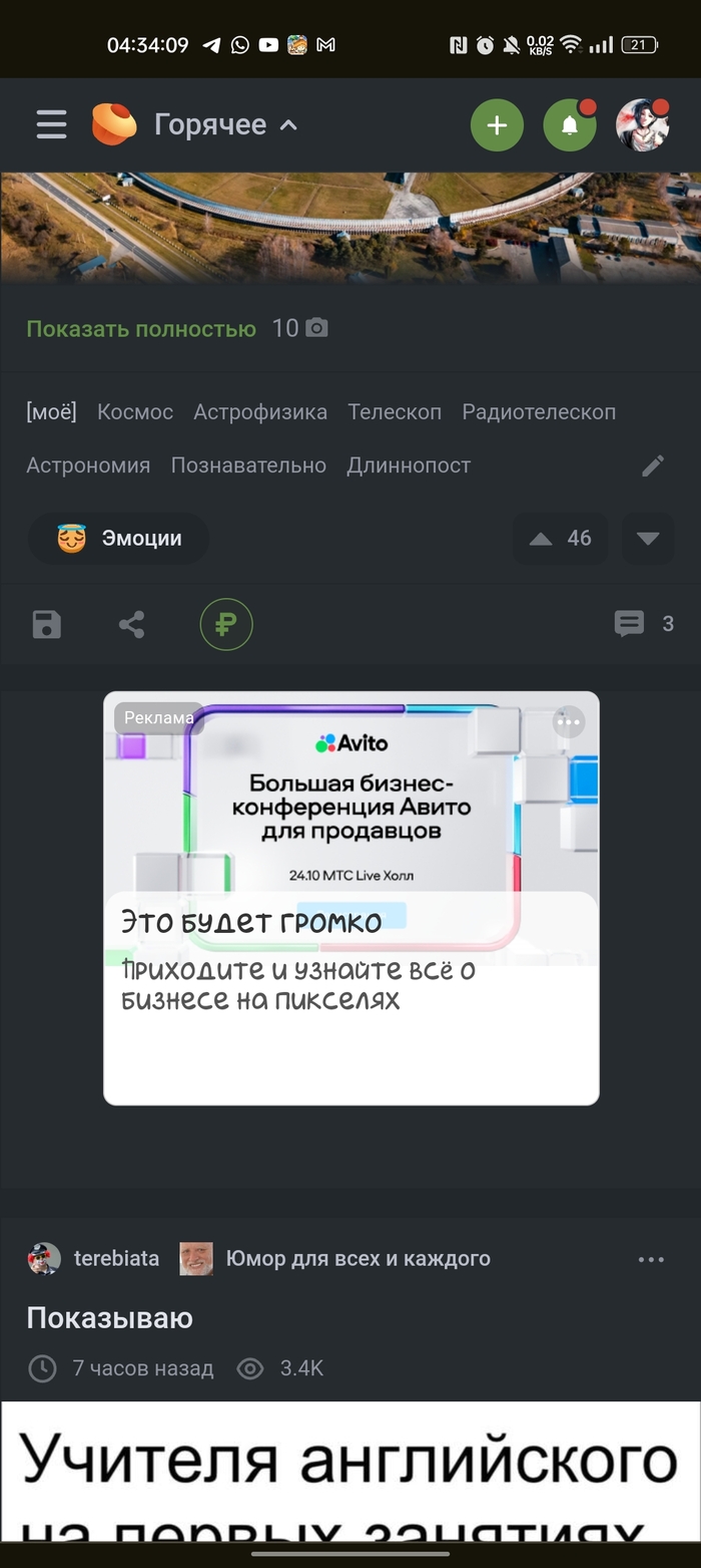 Злыдень-экспо