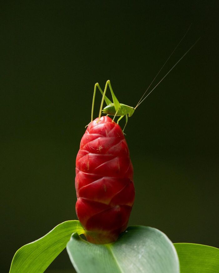     , , ,  , , , ,  , , 