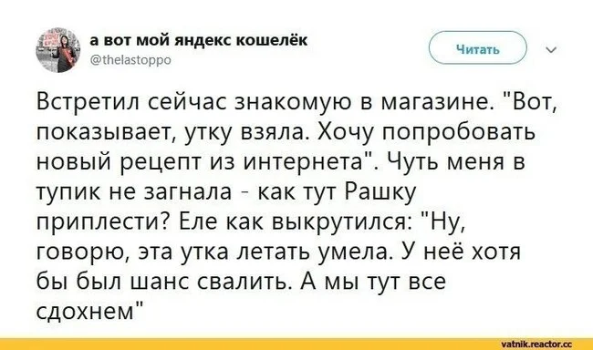 Находчивый - Политика, Юмор, Россия