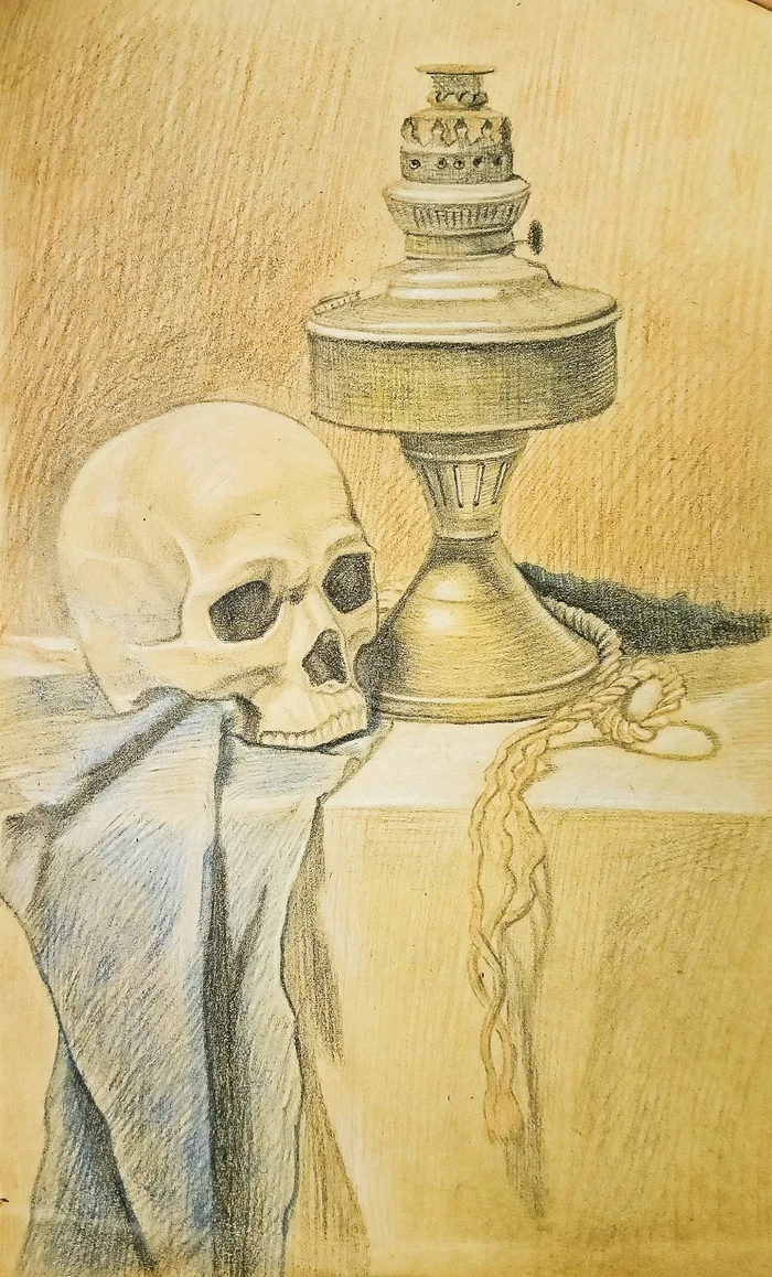 Skull - My, Artist, Pencil drawing, Colour pencils, Still life, Scull, Handmade, Sketchbook, Reference