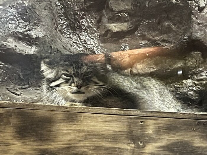 Наидобрейшего...