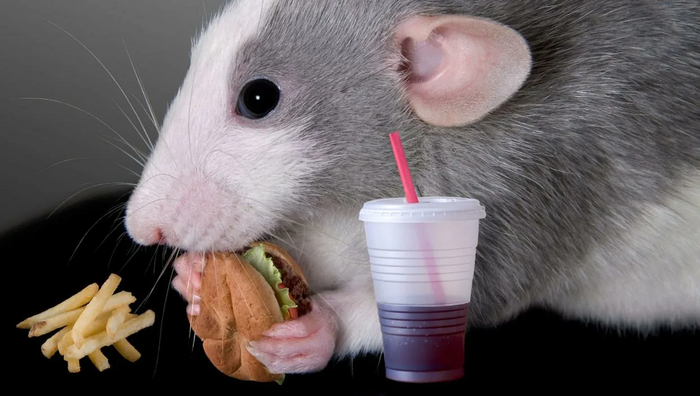 , ,   .     15%  .     . ,  .