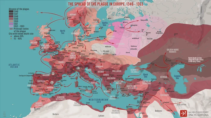 The spread of the plague in Europe, 14th century - History (science), Plague, Cards, Civilization, Europe, Disease