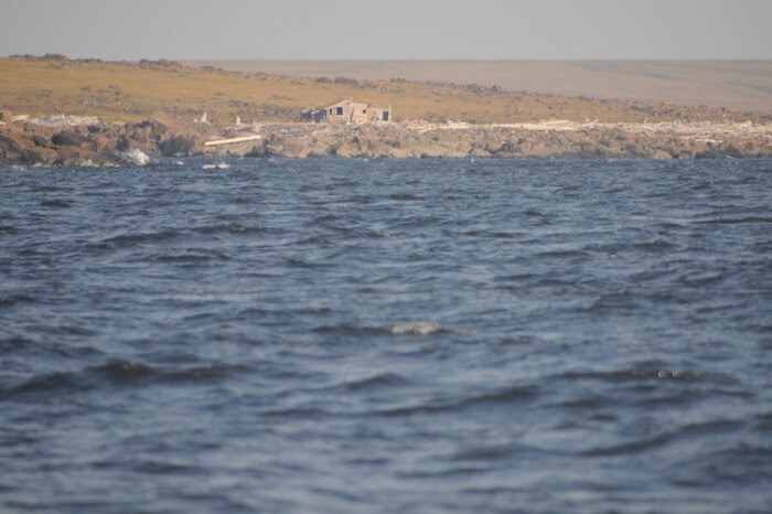 фото избушки с плашкоута