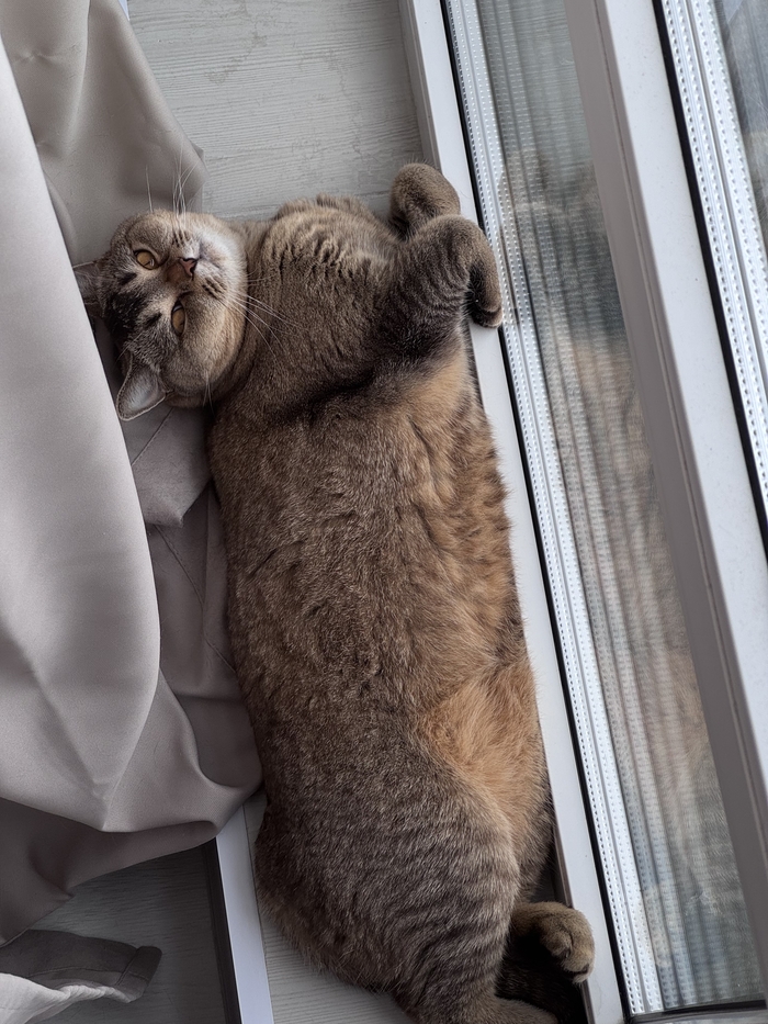 �������� �����