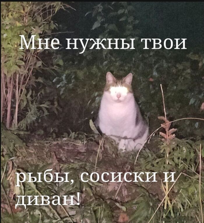 Каковы ваши требования?