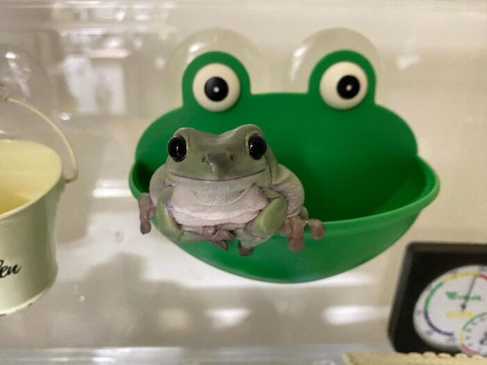 Отличной среды тебе, мой чувак!