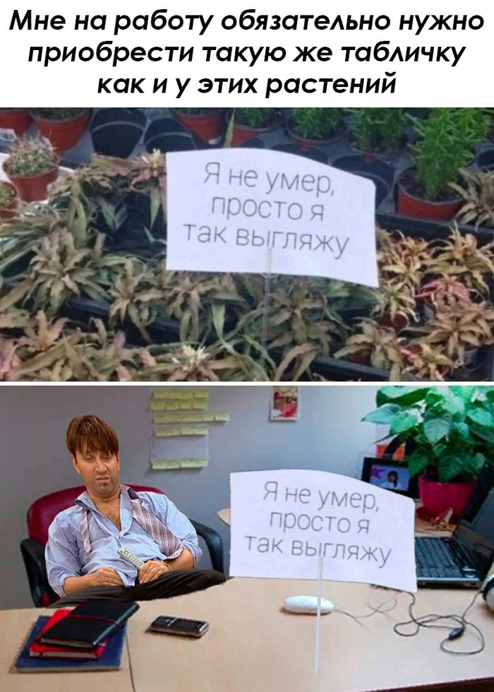      , , , , , 