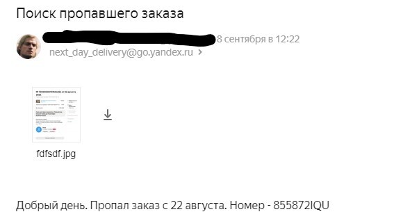 Yandex delivery + Avito delivery = unknown - My, Yandex Delivery, Negative, Avito, Delivery, Service, Support service, Longpost