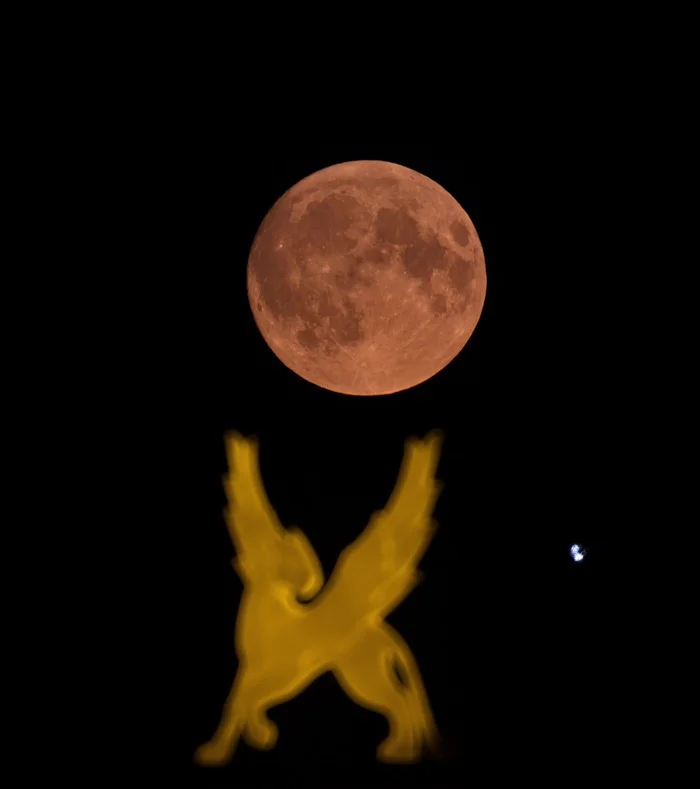 Full Moon and Winged Leopard 09/17/2024 - The photo, Amateur photographer, Soviet optics, Helios-44, Zm-5sa, Full moon, 500mm, Longpost