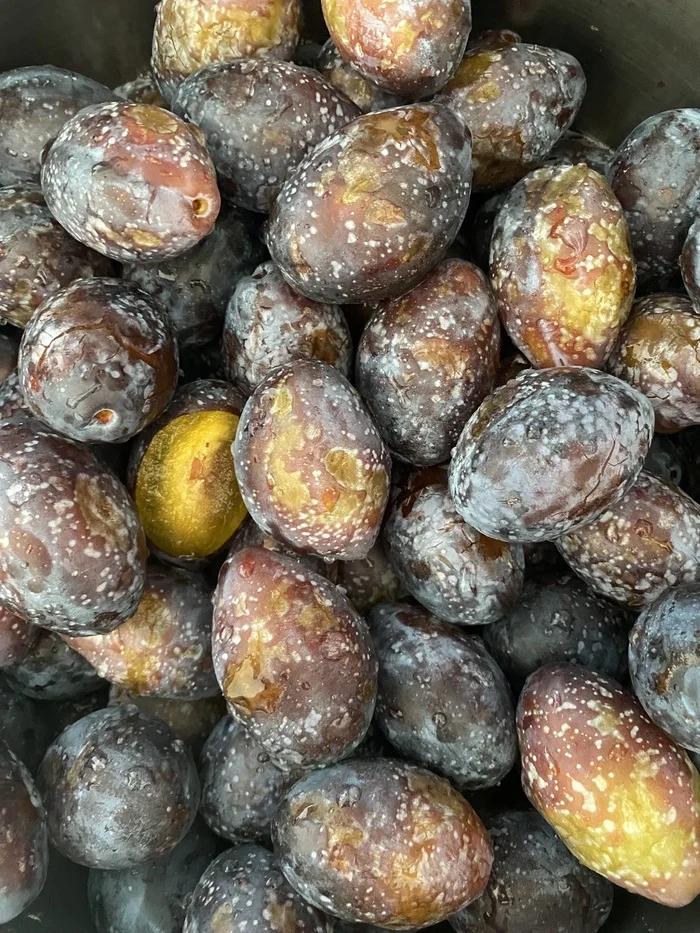 Tkemali hasn't been sorted out yet (seasonal plums) - My, Recipe, Cooking, Food, Blanks, Sauce, Longpost