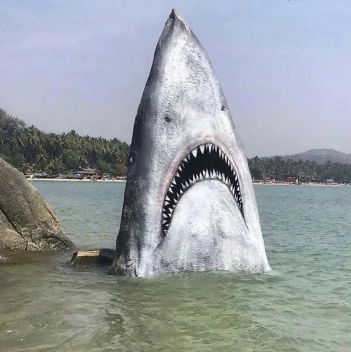 Someone painted this rock to look like a shark. - The rocks, Sea, Drawing, Shark, It seemed