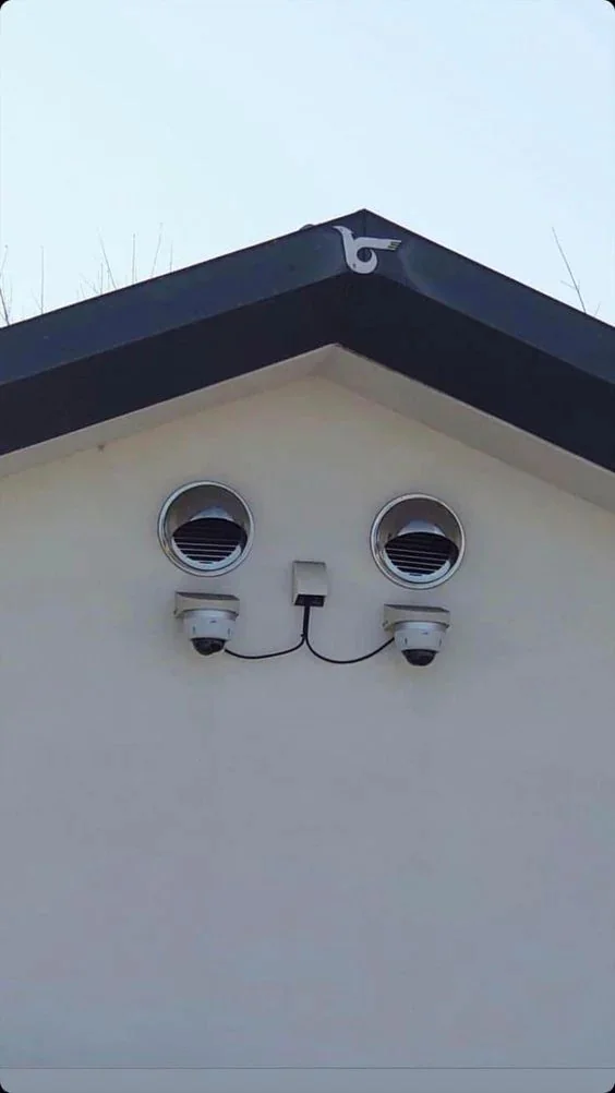 Great design - House, Camera, Ventilation, Pareidolia, cat, It seemed