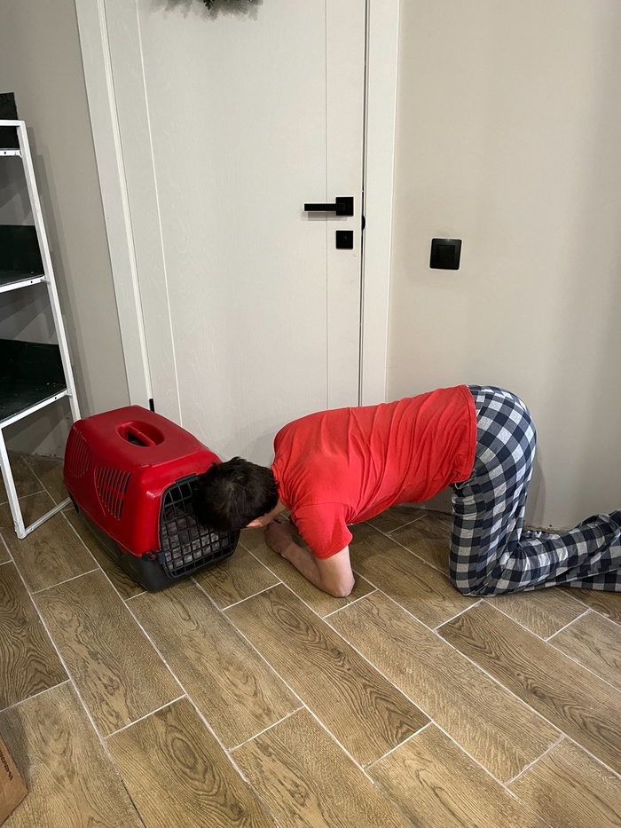 Пол в процессе ремонта, не судите строго