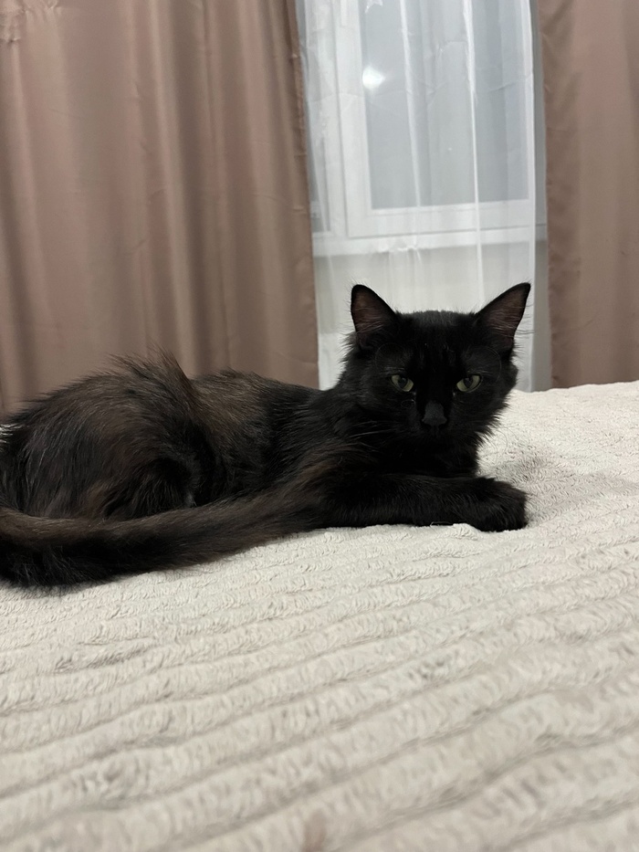 Тут ей где-то 4 месяца