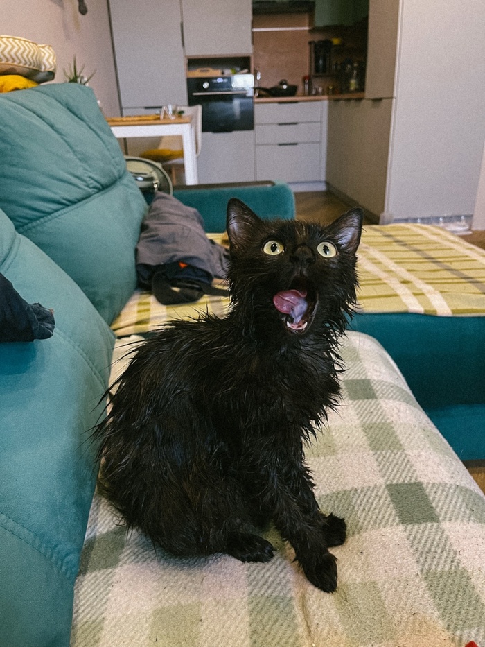 Первое купание