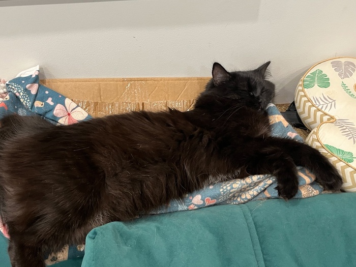 Последнее фото) Сладкий упитанный пирожочек