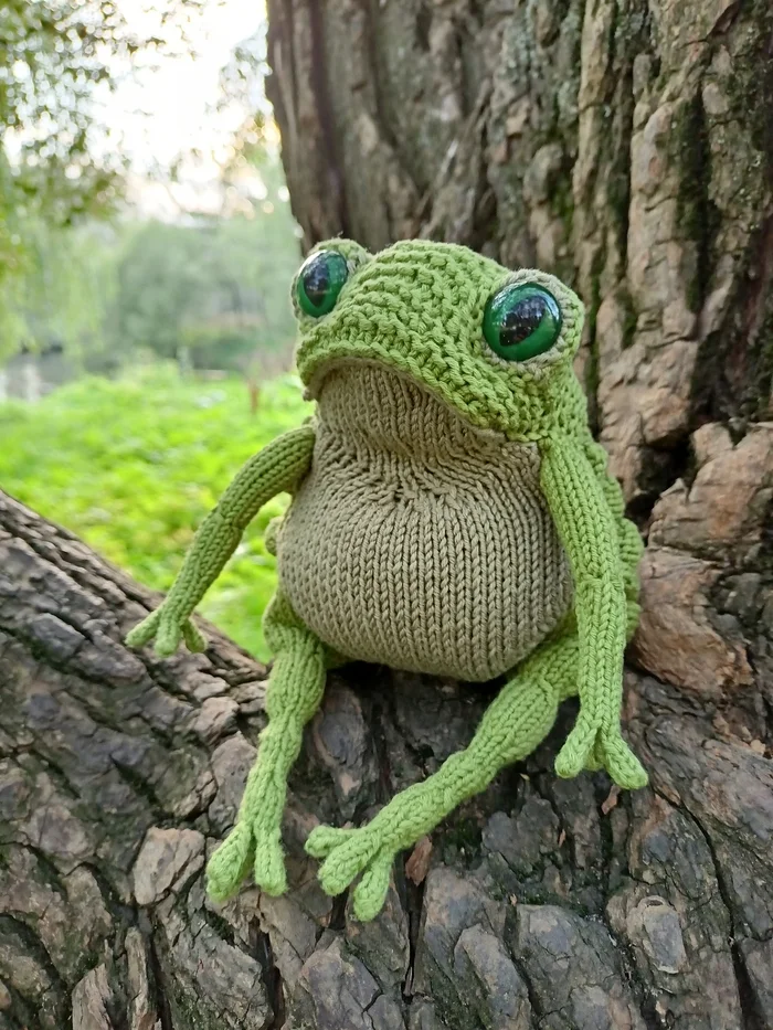 Sad Toad - My, It Is Wednesday My Dudes, Knitted toys, Wednesday, Toad