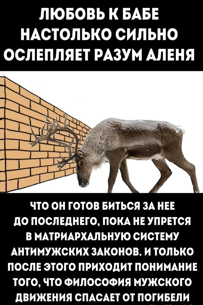 The Way of the Deer! - Relationship problems, War of the sexes, Men and women, Picture with text