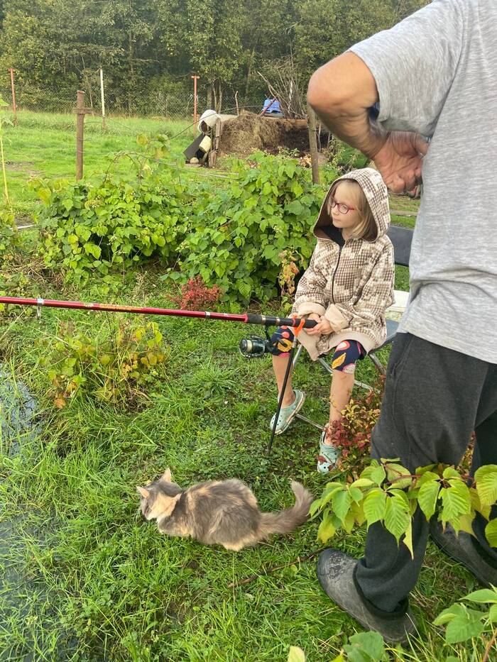 Continuation of the post Are you showing the fish? - Tricolor cat, cat, Fishing, Fishermen, Fishing rod, Carp, Catch, Pond, Reply to post, Longpost