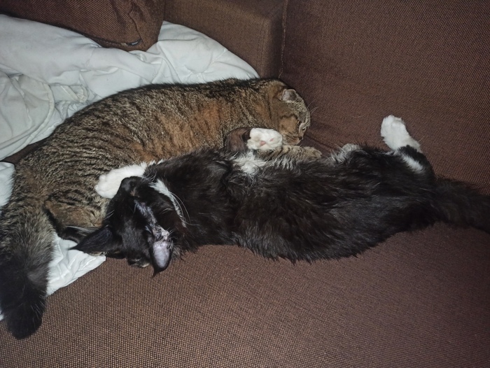 ����� ������� ������� �� ������ ������