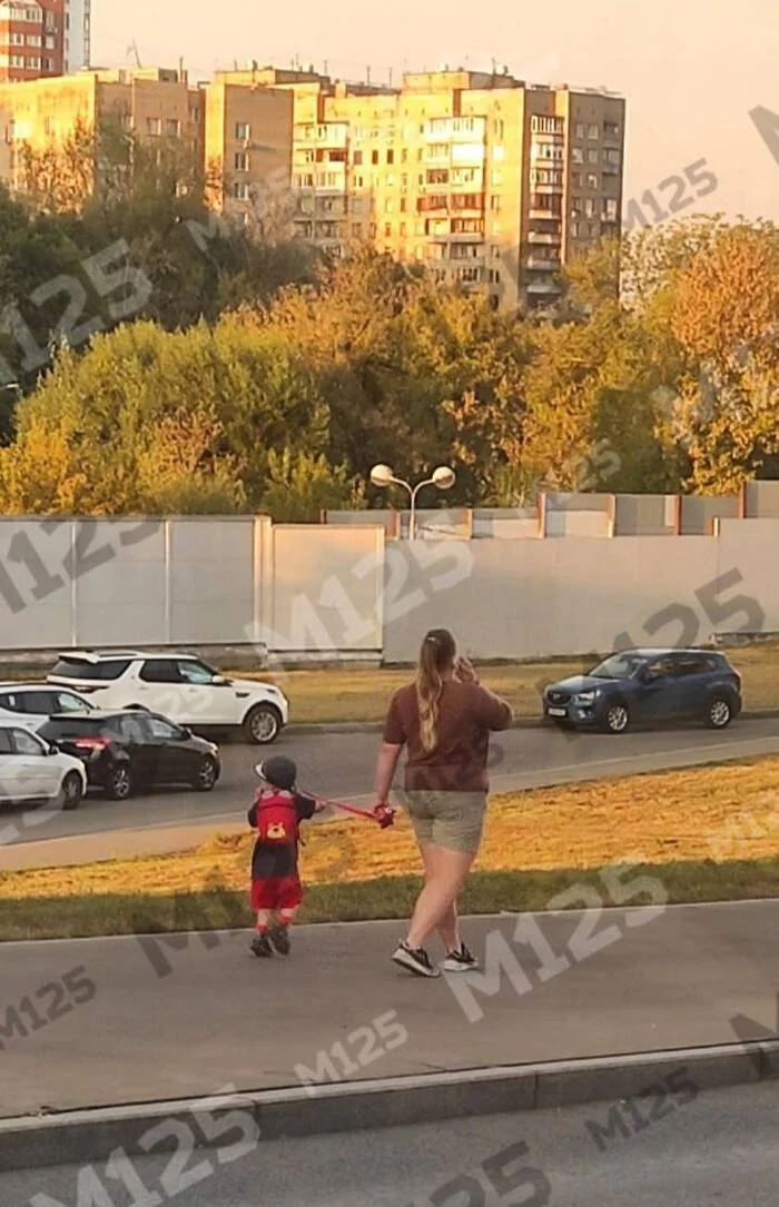 Muscovite mistook child for dog - My, Moscow, Moscow region, Children, People, Mum, Parents, Parents and children, Upbringing, Parenting, Dog, Walk, Childhood, Shock, The photo, Mobile photography, Education, Family