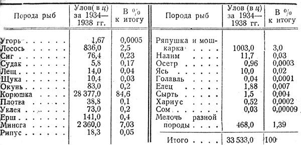 Можно ли было рыбачить в блокадном Ленинграде и какую рыбу ловили