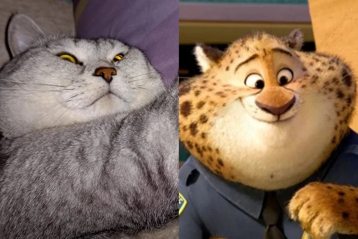 Benjamin Max Clawhauser - My, cat, Zootopia, Claw, Milota